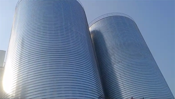 西峡2座混凝土高架卷板仓